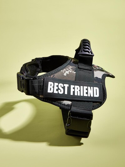 Krāsainas suņu zirglietas ar pielāgojamām etiķetēm Atstarojoša suņu kaklasiksna bez vilkšanas Droša suņu apmācība Pastaigas kāpšanas veste Bezmaksas piegāde