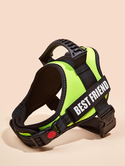 Krāsainas suņu zirglietas ar pielāgojamām etiķetēm Atstarojoša suņu kaklasiksna bez vilkšanas Droša suņu apmācība Pastaigas kāpšanas veste Bezmaksas piegāde