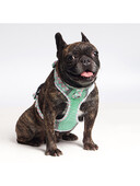 Kvėpuojantis tinklelio spausdintas šunų diržas Patogi naminių gyvūnėlių liemenė Mažas ir vidutinis reguliuojamo dydžio šuniui