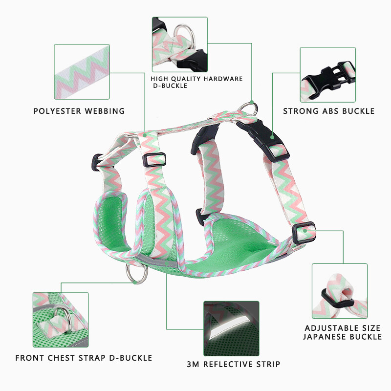 Kvėpuojantis tinklelio spausdintas šunų diržas Patogi naminių gyvūnėlių liemenė Mažas ir vidutinis reguliuojamo dydžio šuniui