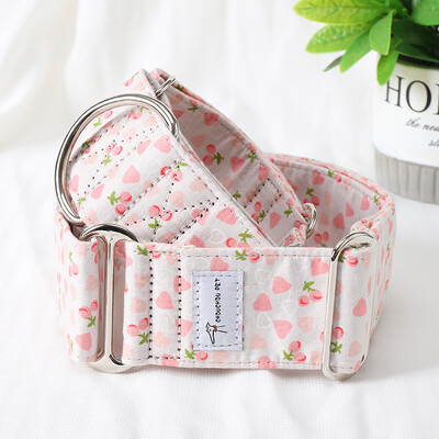 Italų kurtas Whippet Martingale platus reguliuojamas šuns antkaklio raštas medvilninis antkaklis