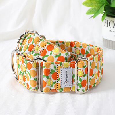 Italų kurtas Whippet Martingale platus reguliuojamas šuns antkaklio raštas medvilninis antkaklis