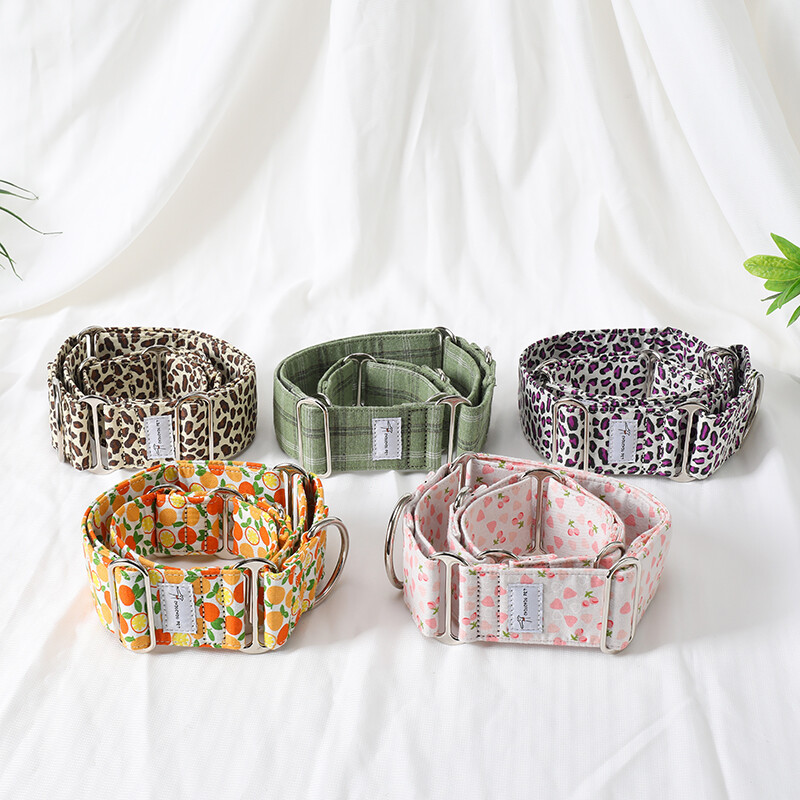 Italų kurtas Whippet Martingale platus reguliuojamas šuns antkaklio raštas medvilninis antkaklis