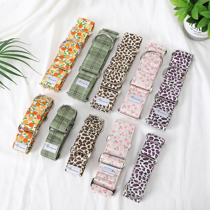 Italų kurtas Whippet Martingale platus reguliuojamas šuns antkaklio raštas medvilninis antkaklis