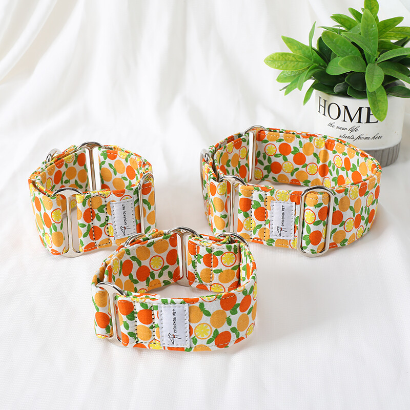 Italų kurtas Whippet Martingale platus reguliuojamas šuns antkaklio raštas medvilninis antkaklis