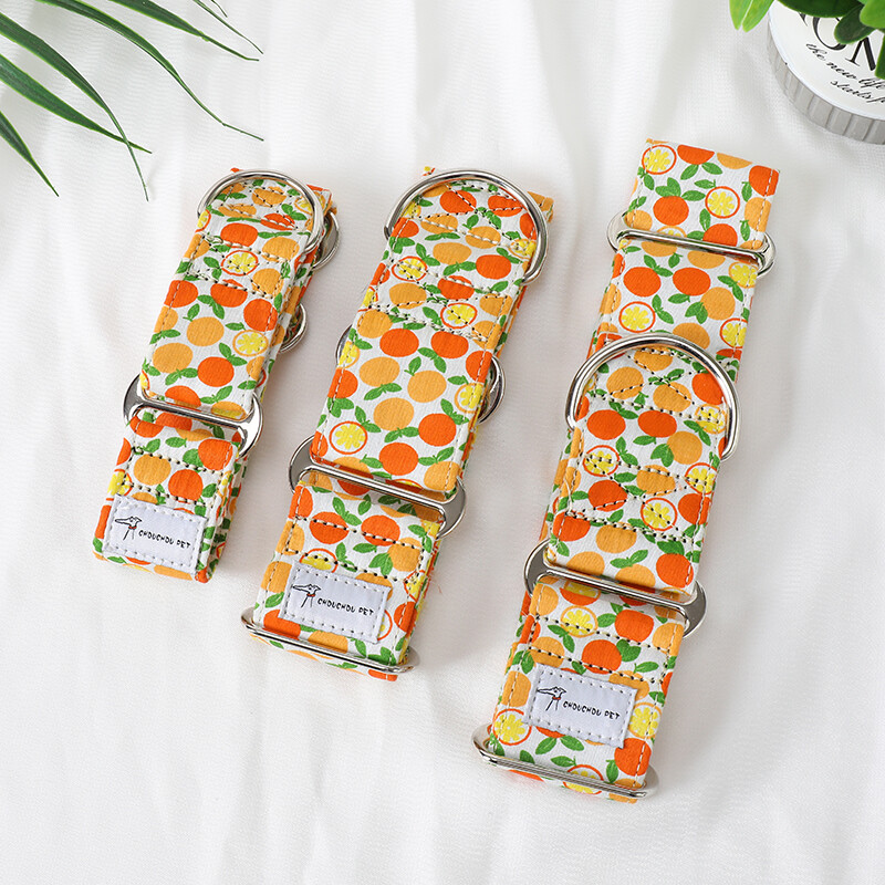 Italų kurtas Whippet Martingale platus reguliuojamas šuns antkaklio raštas medvilninis antkaklis