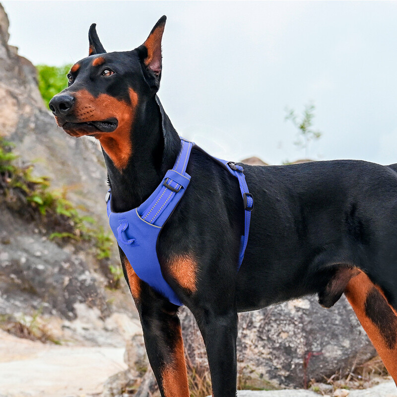 Postroj pre psov, šteniatko, bez ťahania, priedušná sieťovina, reflexné sedlo pre malé a stredné psy, vesta, nastaviteľný postroj, domáce zvieratá, vonkajšie prechádzky