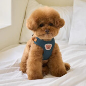 Mielas meškiuko petnešėlių pavadėlio rinkinys šunų liemenių petnešėlių dirželis Reguliuojamas kvėpuojantis diržas šuniuko katės reikmenims