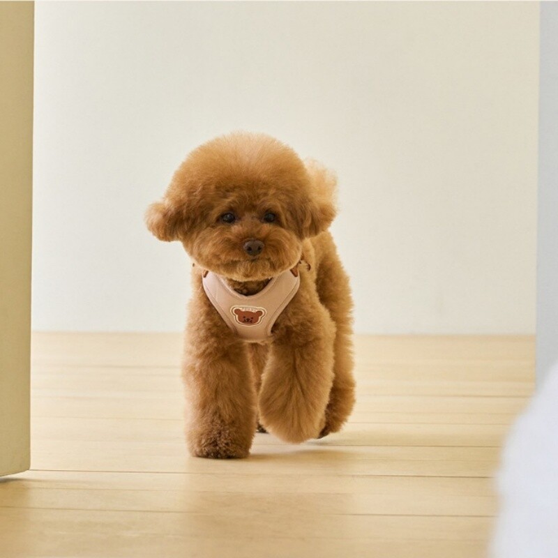 Mielas meškiuko petnešėlių pavadėlio rinkinys šunų liemenių petnešėlių dirželis Reguliuojamas kvėpuojantis diržas šuniuko katės reikmenims