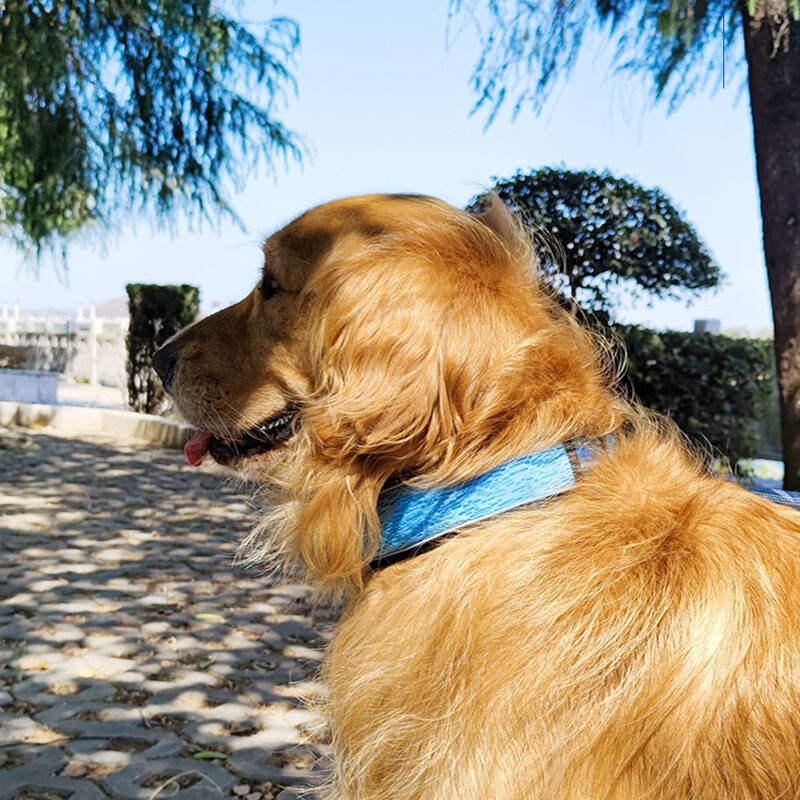 Nešiojami naminių gyvūnėlių antkakliai mažiems dideliems šunims Antkakliai šuniukų vaikščiojimo treniruočių priedai nuo užspringimo paminkštinti atspindintys šunų antkakliai