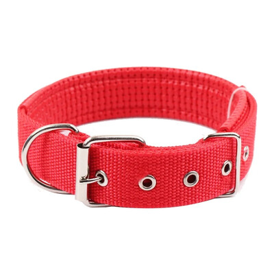 Delysia karaliaus šunų antkakliai