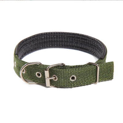 Delysia karaliaus šunų antkakliai