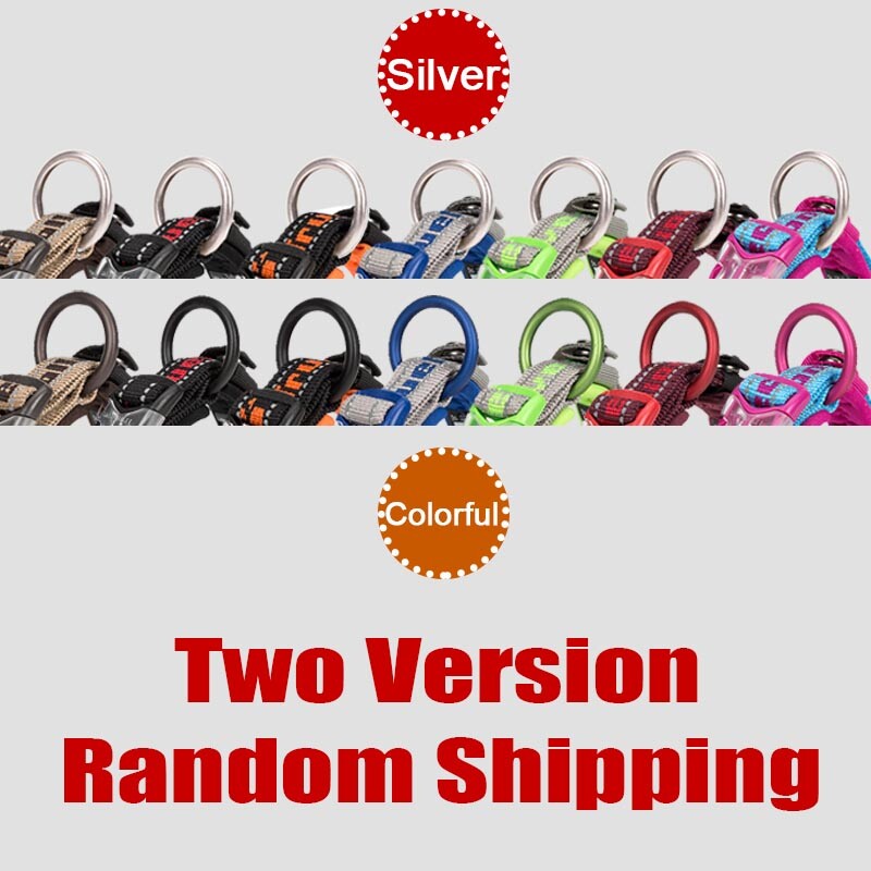 „Truelove Embroider“ neopreno naminių šunų antkaklis nailoninis reguliuojamas šunų antkaklis, skirtas dideliems mažiems šunims, bėgiojantiems atspindinčiomis čihuahua bitutėmis