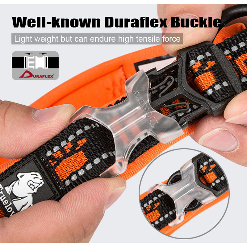 „Truelove Embroider“ neopreno naminių šunų antkaklis nailoninis reguliuojamas šunų antkaklis, skirtas dideliems mažiems šunims, bėgiojantiems atspindinčiomis čihuahua bitutėmis