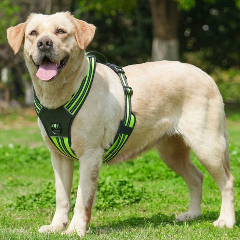 Vestă portabilă cu ham pentru câini mari, ham durabil și robust, pentru câini de talie medie, pitbull, ciobanesc, labrador, accesorii pentru animale de companie