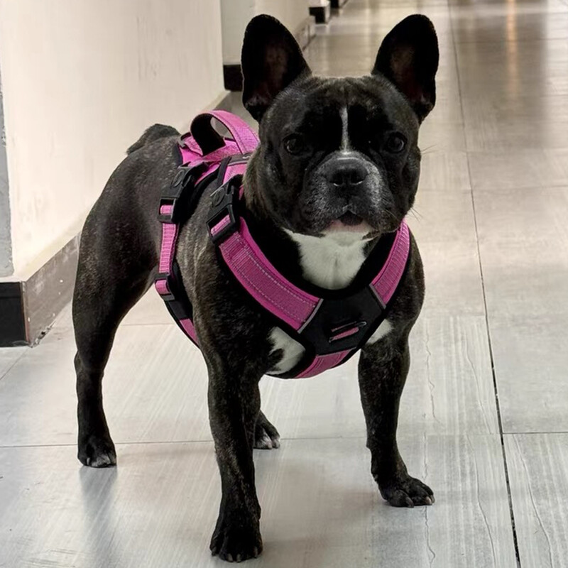 Vestă portabilă cu ham pentru câini mari, ham durabil și robust, pentru câini de talie medie, pitbull, ciobanesc, labrador, accesorii pentru animale de companie