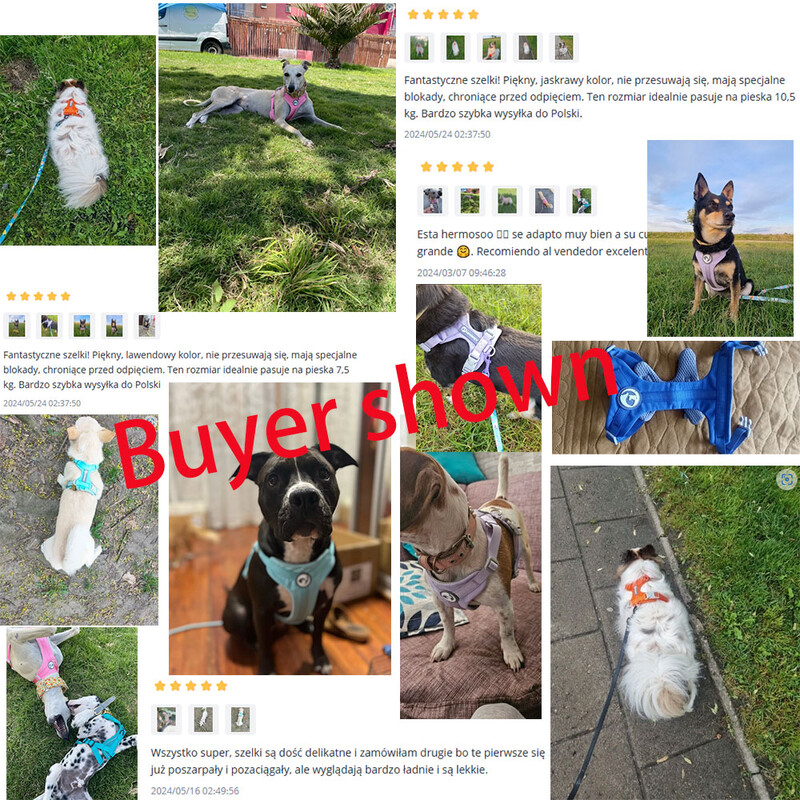 Kvėpuojantis šunų diržas NO PULL Pet šviesą atspindintis diržas, skirtas mažo didelio šuns pasivaikščiojimo treniruotėms lauke, naminių gyvūnėlių reikmenys.