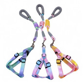 Laipsniškas spalvingas šunų diržas su pavadėliu ir šunų pavadėlio rinkinys nailoninis reguliuojamas šunų diržas vaikščiojimo pavadėlio dirželis mažas vidutinis didelis