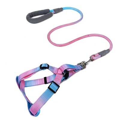Laipsniškas spalvingas šunų diržas su pavadėliu ir šunų pavadėlio rinkinys nailoninis reguliuojamas šunų diržas vaikščiojimo pavadėlio dirželis mažas vidutinis didelis