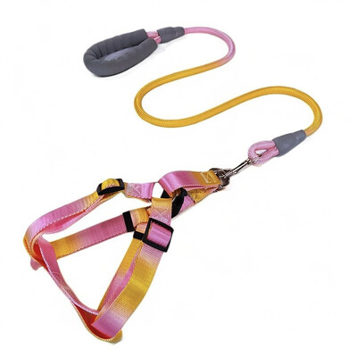 Laipsniškas spalvingas šunų diržas su pavadėliu ir šunų pavadėlio rinkinys nailoninis reguliuojamas šunų diržas vaikščiojimo pavadėlio dirželis mažas vidutinis didelis