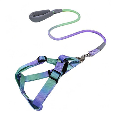Laipsniškas spalvingas šunų diržas su pavadėliu ir šunų pavadėlio rinkinys nailoninis reguliuojamas šunų diržas vaikščiojimo pavadėlio dirželis mažas vidutinis didelis
