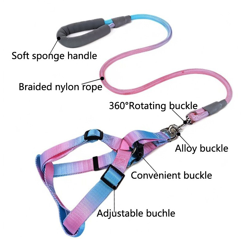 Laipsniškas spalvingas šunų diržas su pavadėliu ir šunų pavadėlio rinkinys nailoninis reguliuojamas šunų diržas vaikščiojimo pavadėlio dirželis mažas vidutinis didelis