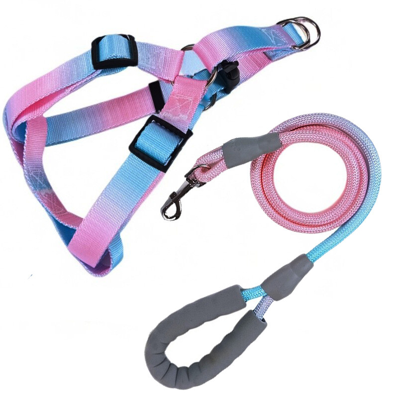 Laipsniškas spalvingas šunų diržas su pavadėliu ir šunų pavadėlio rinkinys nailoninis reguliuojamas šunų diržas vaikščiojimo pavadėlio dirželis mažas vidutinis didelis