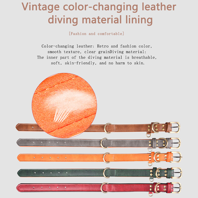 CP361 Sunkios apkrovos oda, minkšta, patogi paminkštinta tvirta reguliuojama sagtis Ourdoor Treniruotės be traukimo Vidutinis didelis augintinio šuns antkaklis