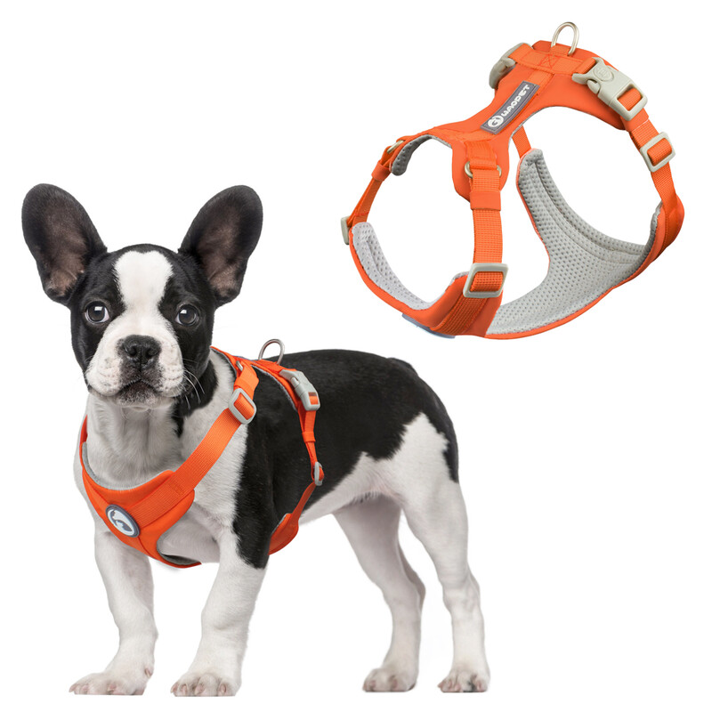 Nauji šunų petnešos naminių gyvūnėlių balnelio saugos be traukimo reguliuojami liemenių diržai vaikščiojimo treniruokliai mažiems vidutiniams dideliems šunims krūtinės diržas