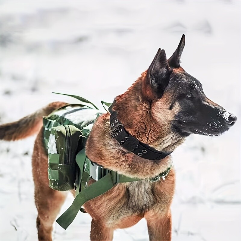 Patogiai prigludęs, tvirtas nailoninis šunų antkaklis su reguliuojamu, paminkštintas dresūrai ir vaikščiojimui, puikiai tinka vidutiniams ir dideliems šunims