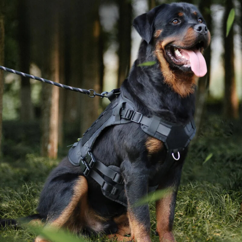 Taktička prsna traka za velike pse koja se uvlači, pojasevi za velike pse, ogrlica za pse, taktička škrinja za odjeću za pse, pribor za pse