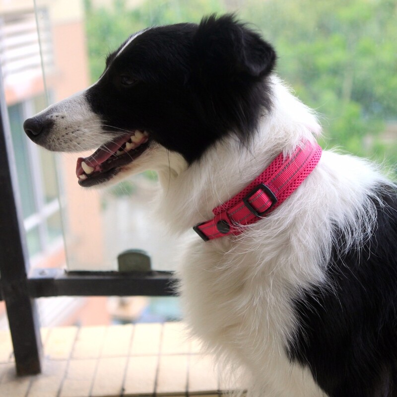 Neilona suņu kakla siksnas, ērtas, regulējamas, polsterētas, atstarojošas mājdzīvnieku suņu kaklasiksnas kaklarota suņu apmācībai ārā