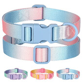 Nailono šunų antkaklis Reguliuojamas kačių mažų šunų antkaklis Gradientas naminių gyvūnėlių karoliai Madingi antkakliai Priedai mažiems vidutinio dydžio šunims