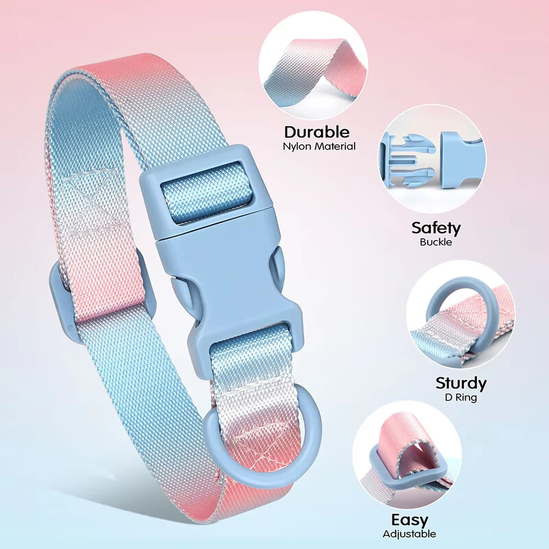 Nailono šunų antkaklis Reguliuojamas kačių mažų šunų antkaklis Gradientas naminių gyvūnėlių karoliai Madingi antkakliai Priedai mažiems vidutinio dydžio šunims