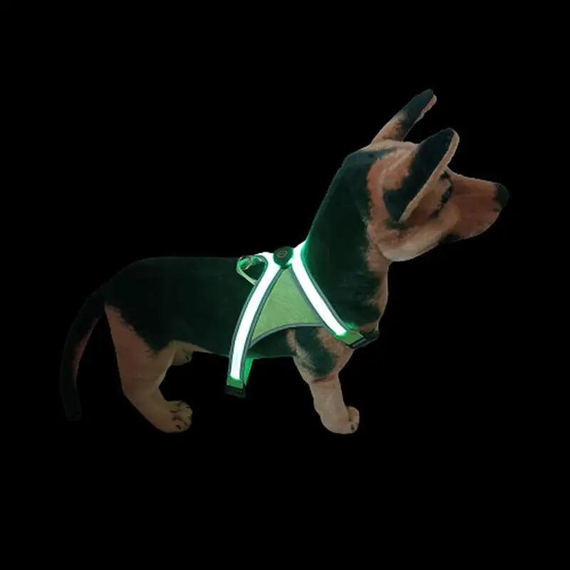 Naujas LED šviečiantis augintinio krūtinės dirželis. Keturios lemputės. USB įkrovimas. Šviečianti naminių gyvūnėlių liemenė. Ištraukite diržą. Traukos lynas