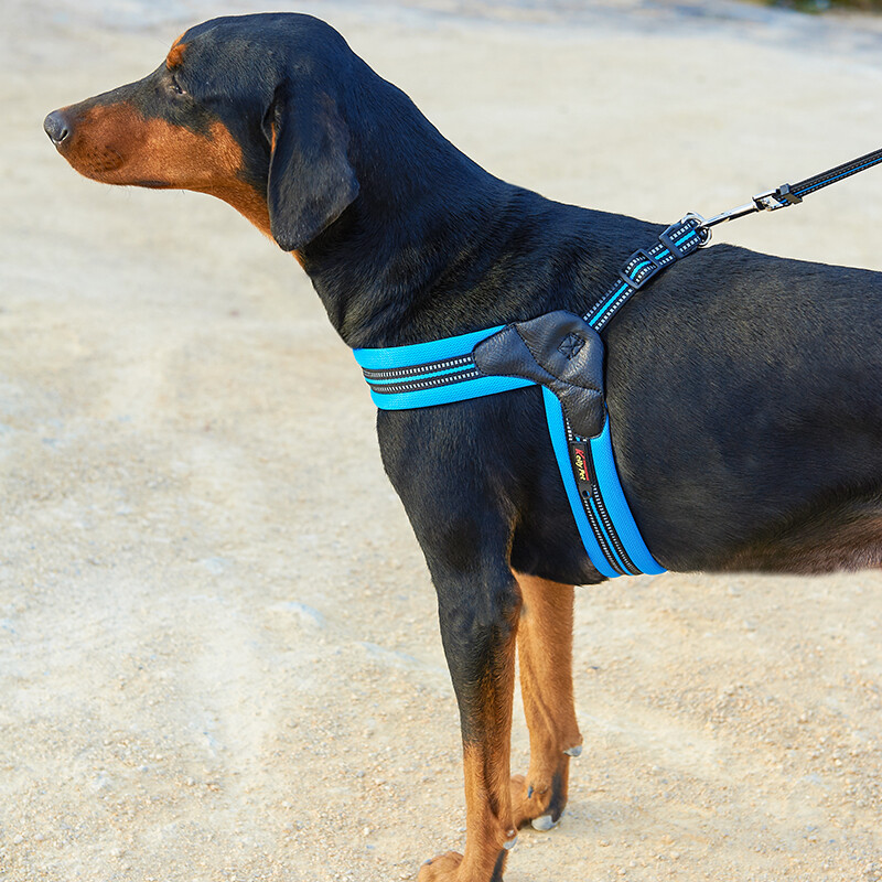 Sunkios apkrovos didelių šunų diržų liemenė vidutinio dydžio šunims šviesą atspindintys petnešėlių ir pavadėlių komplektai Dobermano pinčerių talismanai