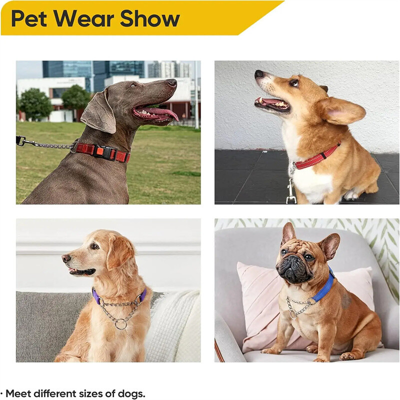 Zgarda de câini pentru câini mici, mijlocii și mari Încuietoare de siguranță, reflectorizantă, reglabilă, cu lanț din oțel inoxidabil, pentru dresaj