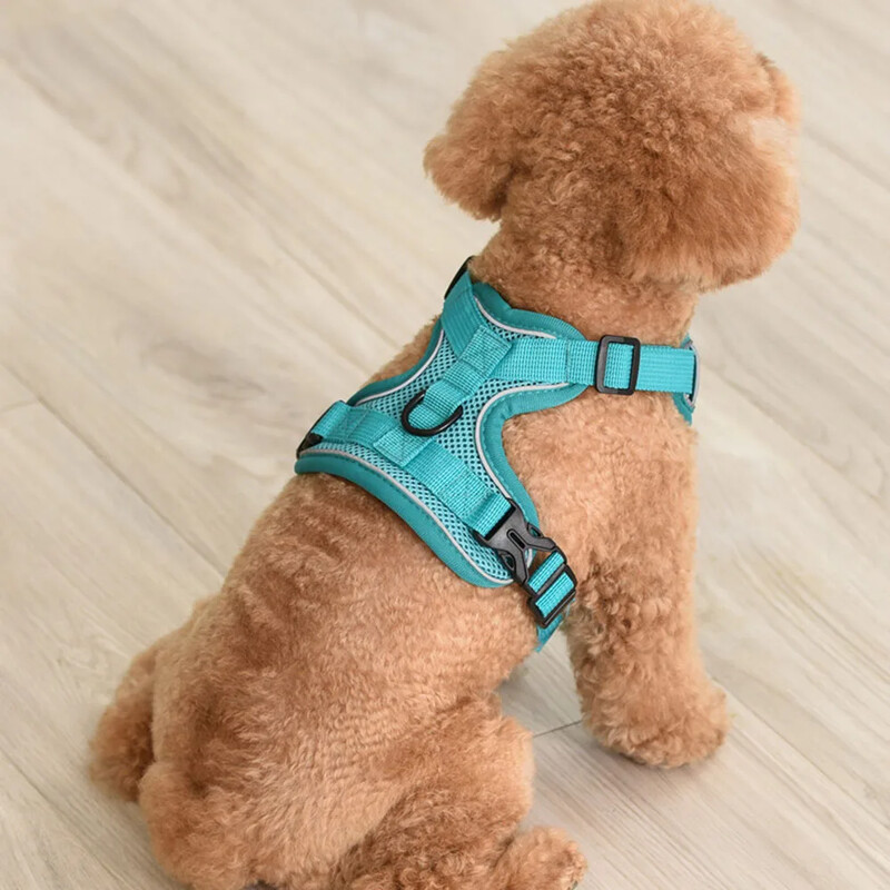Oprsnice za pse s povodcem Podesivi prsluk Oprema za hodanje Mekane prozračne oprsnice Dodaci za kućne ljubimce za mačke Povodac za male štene