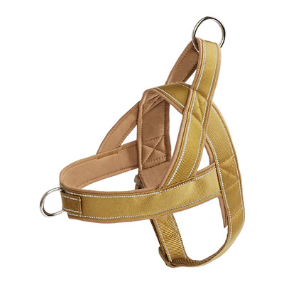 600 Denier nailono petnešėlės su dideliu tempimo stiprumu ir atspindinčia linija, tinka vidutiniams ir dideliems šunims, šunų dresūrai