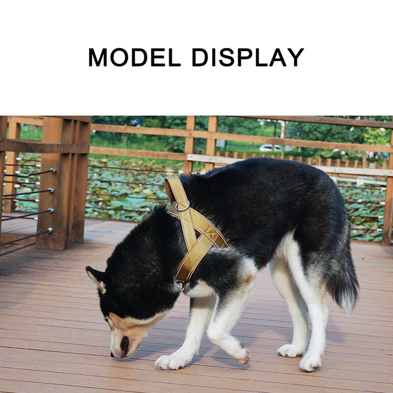 600 Denier nailono petnešėlės su dideliu tempimo stiprumu ir atspindinčia linija, tinka vidutiniams ir dideliems šunims, šunų dresūrai