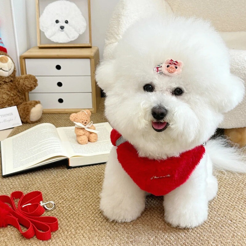 Madingi naminiai triušio kailiai pliušiniai naminių gyvūnėlių tempimo rinkiniai šilti stori naminiai šunys katės vaikščiojantys šuo lauke pliušiniai pliušiniai lynai, krūtinės diržai