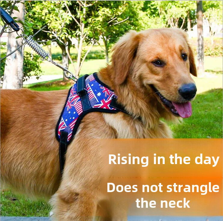 Pārrobežu tiešās piegādes mājdzīvnieku pavada K7 Pretsprādzienbīstama pastaigu suņa krūškurvja siksna Kaula galvas krūškurvja siksna Suņu pastaigu siksna