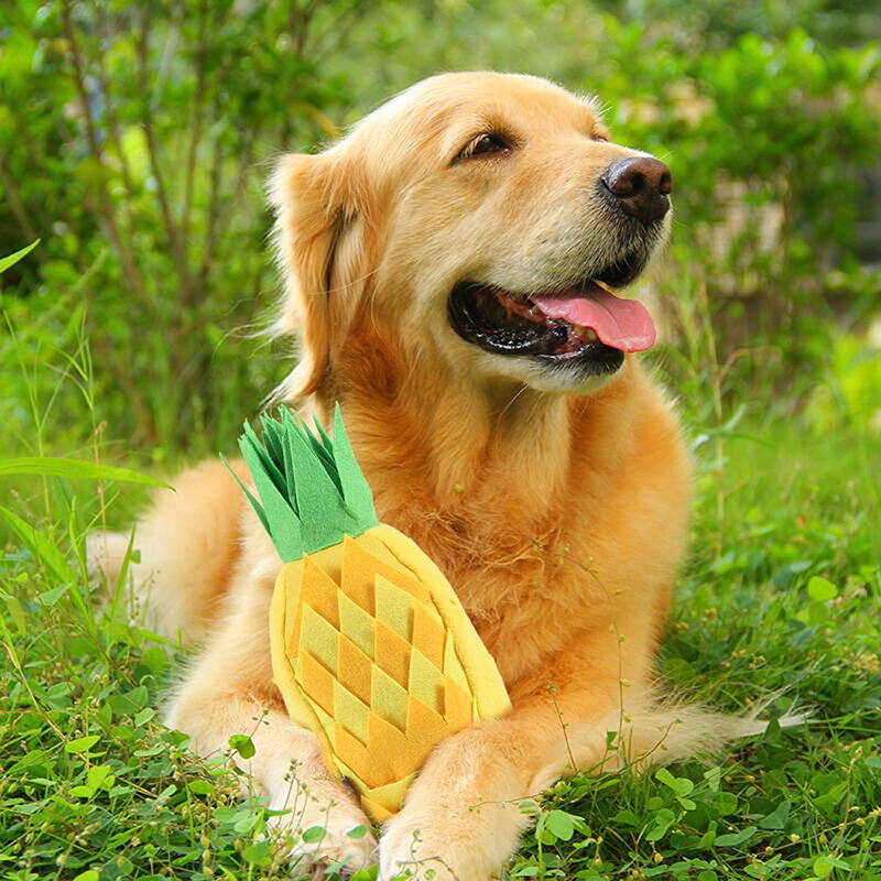 Dėlionės šunims ananasų žaislai skatina natūralų maisto ieškojimą Nešiojamas neslystantis naminių gyvūnėlių kilimėlis Lėtas tiektuvas, kurį lengva valyti