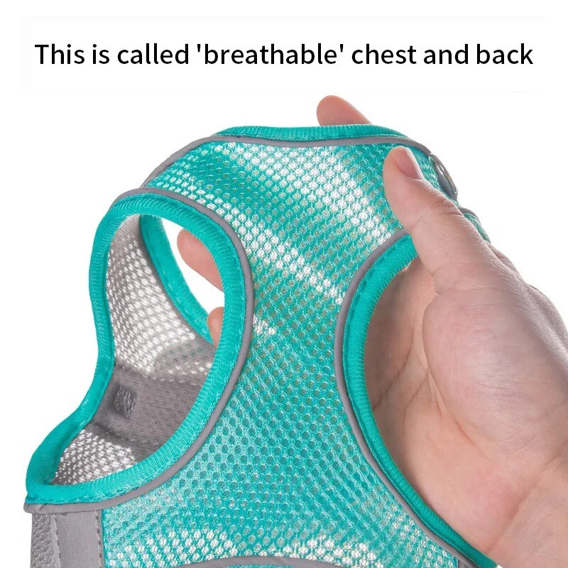 Šunų diržų pavadėlio rinkinys mažiems šunims Reguliuojamas šuniuko katės diržų liemenė prancūzų buldogo čihuahua mopso pavadėlis lauke vaikščioti