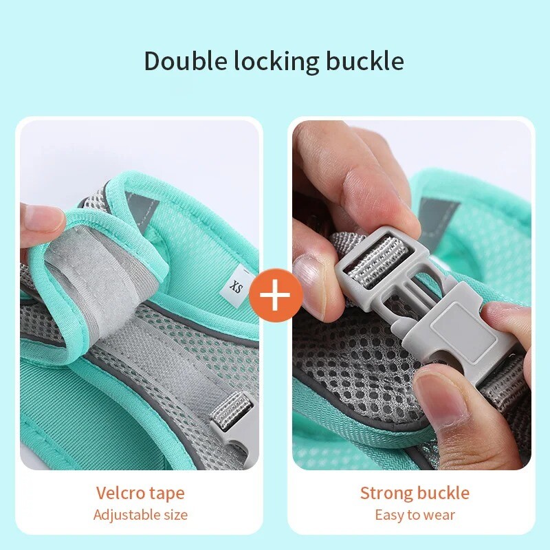 Šunų diržų pavadėlio rinkinys mažiems šunims Reguliuojamas šuniuko katės diržų liemenė prancūzų buldogo čihuahua mopso pavadėlis lauke vaikščioti