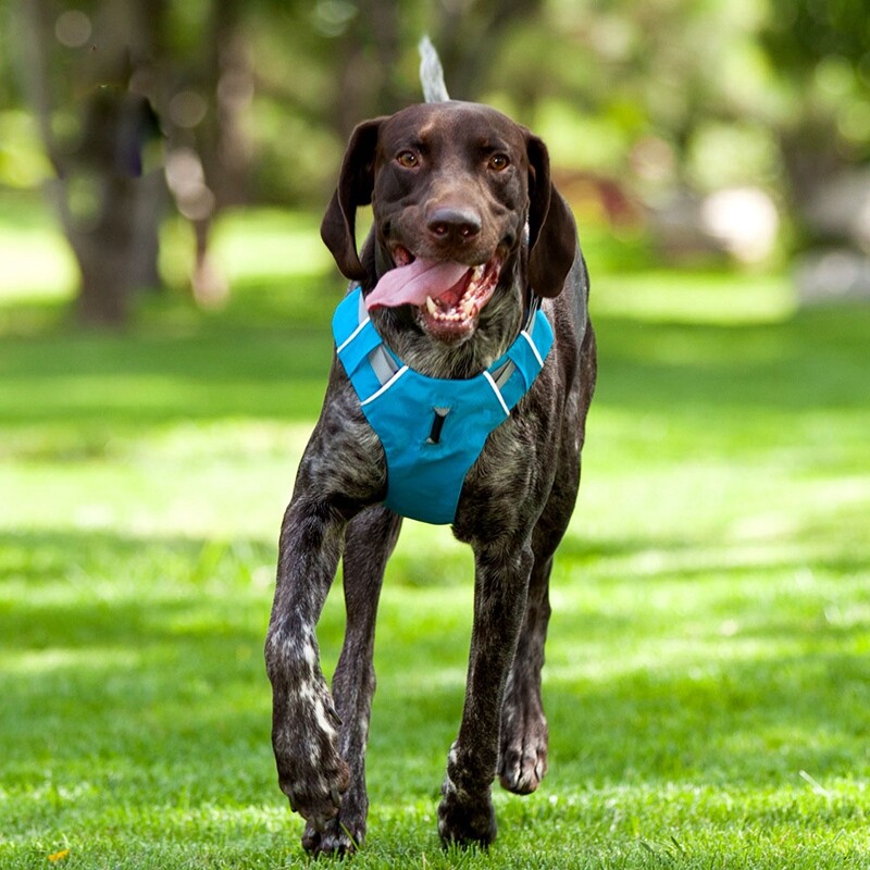Ham pentru câini pentru animale de companie, din nailon reflectorizant, vestă fără tragere, ham respirabil, ham pentru câini, pentru câini mari, articole de dresaj pentru plimbare în aer liber