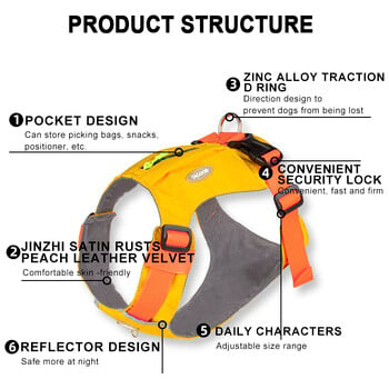 Νέα αξεσουάρ για σκύλους Γιλέκο ανακλαστικό λουρί για σκύλους Μικρά και μεσαίου μεγέθους λουριά για σκύλους Αξεσουάρ για σκύλους βόλτας για κατοικίδια