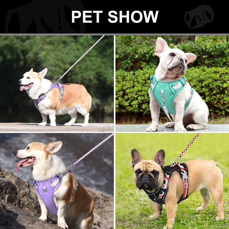 Šviesą atspindinčių šunų diržų pavadėlių rinkinys, netraukiamas nailono šunų liemenių petnešos su valdymo rankena, reguliuojamas vidutinio dydžio šunų pavadėlis