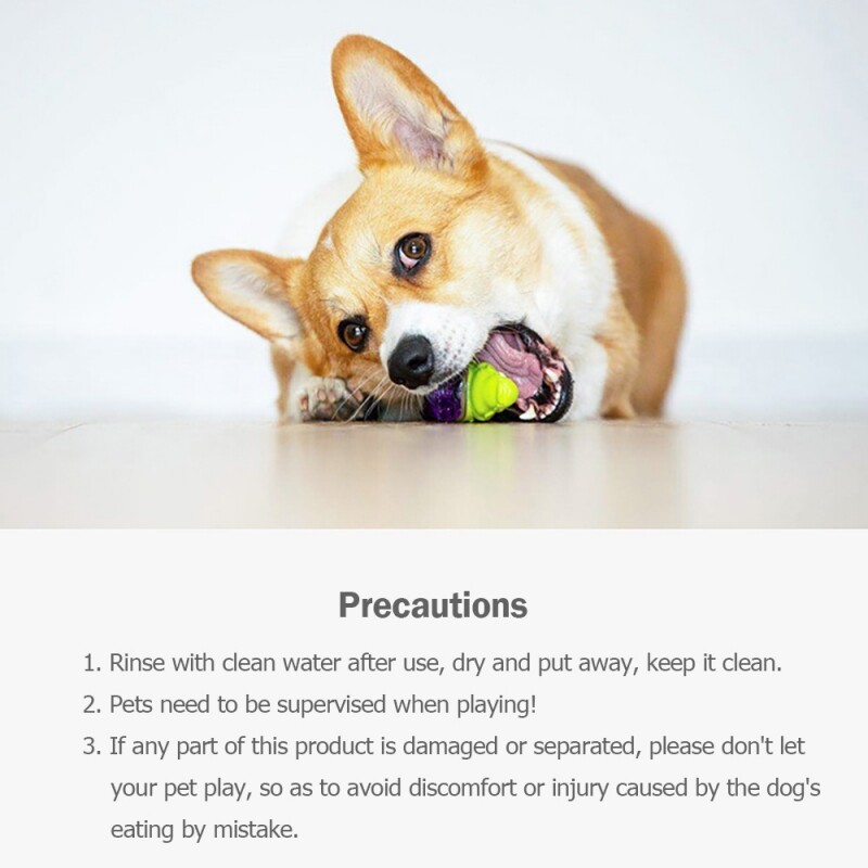 GIGWI Pet Toys Suppa Puppa Series Q Kitten Fox Krokodilinis meškėnas šuniukui krūminiai garsiniai žaislai Atsparūs įkandimams šunų priedai