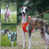 Ham cu plasă de nailon respirabil pentru câini, cu frânghie de plumb, antrenament în aer liber, piept reglabil pentru antrenament de mers în aer liber